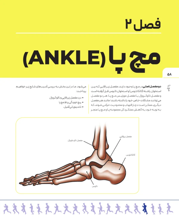 کتاب دویدن بدون مصدومیت از پل هابروگ