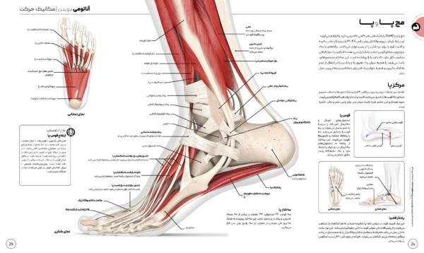 کتاب علم دویدن از انتشارات دی کی