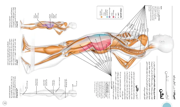 کتاب علم دویدن مصور DK (PDF) - تصویر 2