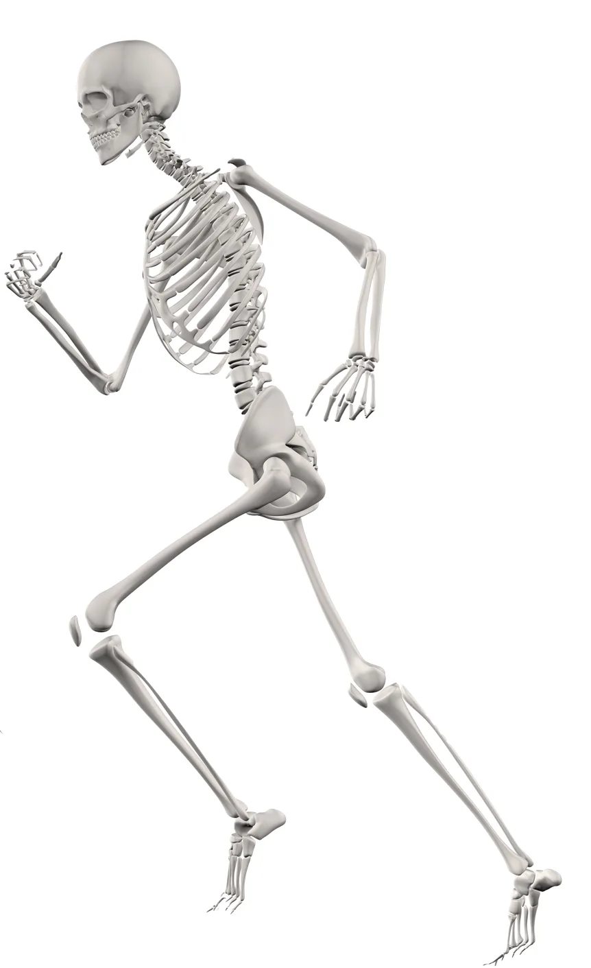 ترک‌خوردگی تنشی دویدن