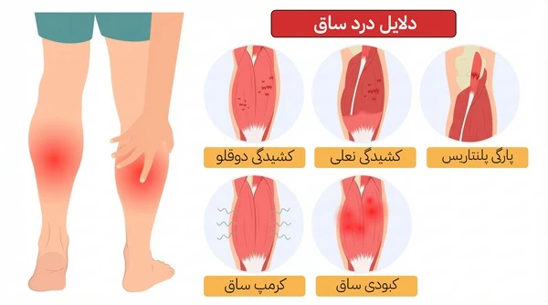 اینفوگرافیک کشیدگی عضلانی ساق با دست دونده روی عضله ساق