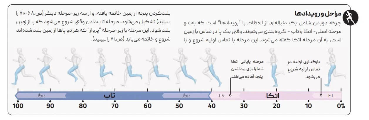 تصویری از چرخه دویدن از کتاب علم دویدن مصور