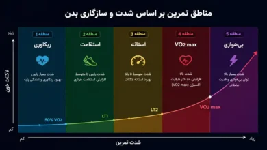 نموادر تفاوت مناطق تمرینی دویدن در ضربان قلب حداکثری
