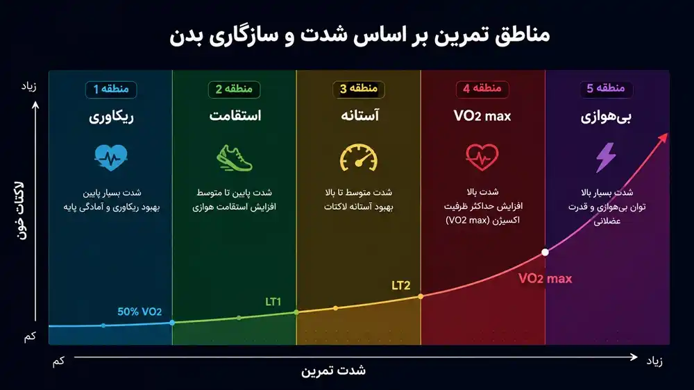 نموادر تفاوت مناطق تمرینی دویدن در ضربان قلب حداکثری