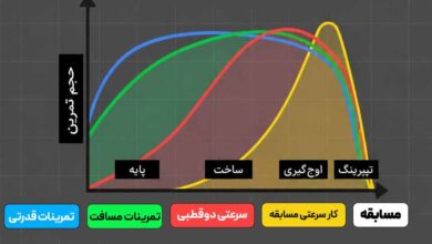 نمودار فازبندی برنامه تمرینی دویدن