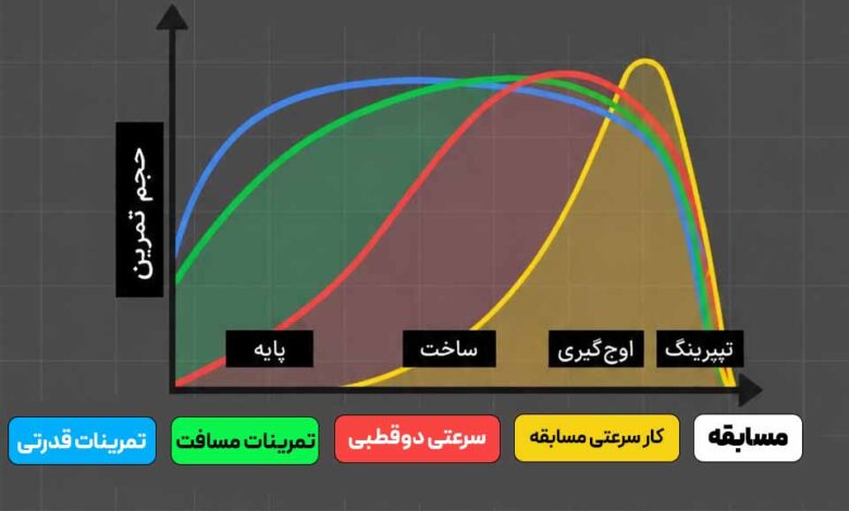نمودار فازبندی برنامه تمرینی دویدن